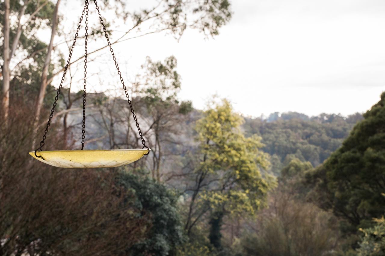 Rustic Refuge Guesthouse Kalorama Dış mekan fotoğraf